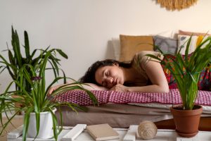 ¿Es malo dormir con plantas en la habitación? El mito del CO₂ nocturno